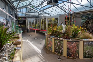 Serre des plantes carnivores © Jardins botaniques du Grand Nancy et de l'Université de Lorraine / Julien DECOLLOGNE