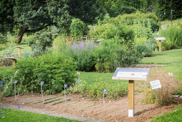 Photo de la collection "histoire des plantes cultivées" © P.-F. Valck