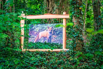 Photo du parcours dédié aux animaux de Lorraine © P.-F. Valck