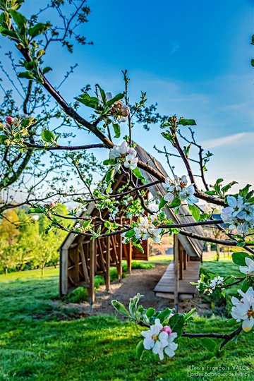 Photo d'une branche de fruitier en fleur devant "la cîme" (microarchitecture en bois)