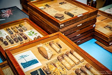 Boîtes pédagogiques de l'Institut colonial et agricole de Nancy conservées au Jardin botanique Jean-Marie Pelt