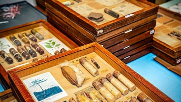 Boîtes pédagogiques de l'Institut colonial et agricole de Nancy conservées au Jardin botanique Jean-Marie Pelt