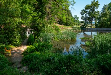 Les écosystèmes lorrains © Jardins botaniques du Grand Nancy et de l'Université de Lorraine / Julien DECOLLOGNE