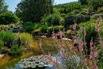 Bassin de l'alpinum © Jardins botaniques du Grand Nancy et de l'Université de Lorraine / Julien DECOLLOGNE