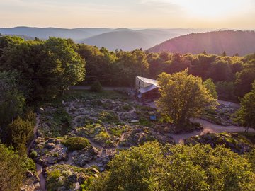 Rocailles du Jardin d'altitude du Haut Chitelet © Jardins botaniques du Grand Nancy et de l'Université de Lorraine / Julien Decollogne