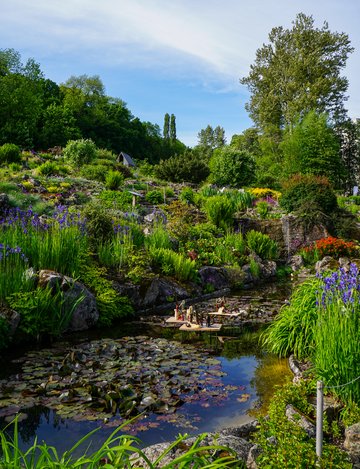L'alpinum © Jardins botaniques du Grand Nancy et de l'Université de Lorraine / Julien DECOLLOGNE