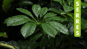 [Translate to English:] 